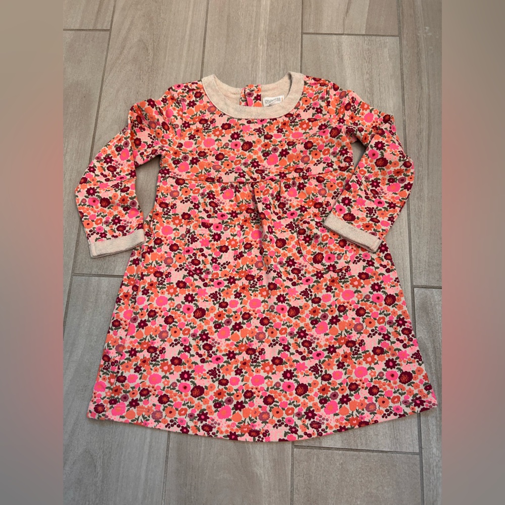 Gymboree Pink Floral Long Sleeve Dress